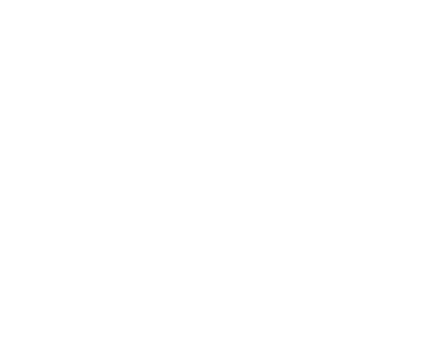 Flash Roofing